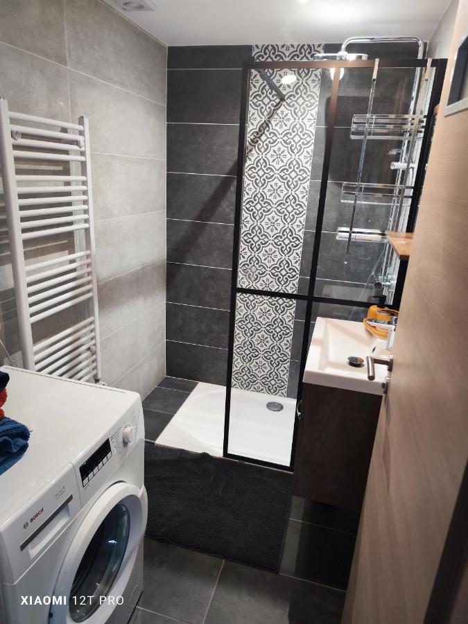Appartement Renovee Dans Maison Ancienne Amancy ภายนอก รูปภาพ