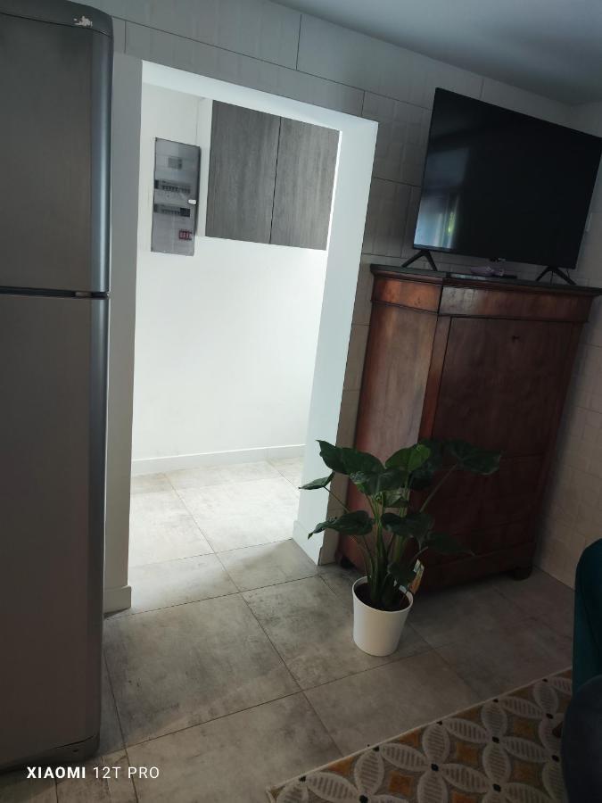 Appartement Renovee Dans Maison Ancienne Amancy ภายนอก รูปภาพ